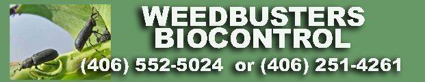Weedbusters Biocontrol (406) 552-5024 